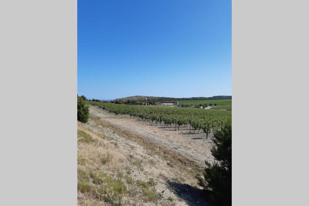 Appartement Calme Entre Terre Et Mer Proche Plage Fleury  Luaran gambar